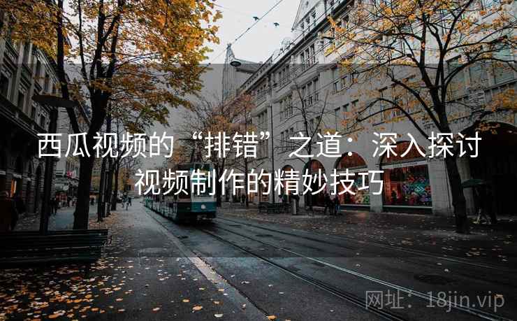 西瓜视频的“排错”之道:深入探讨视频制作的精妙技巧 西瓜视频的“排错”之道:深入探讨视频制作的精妙技巧